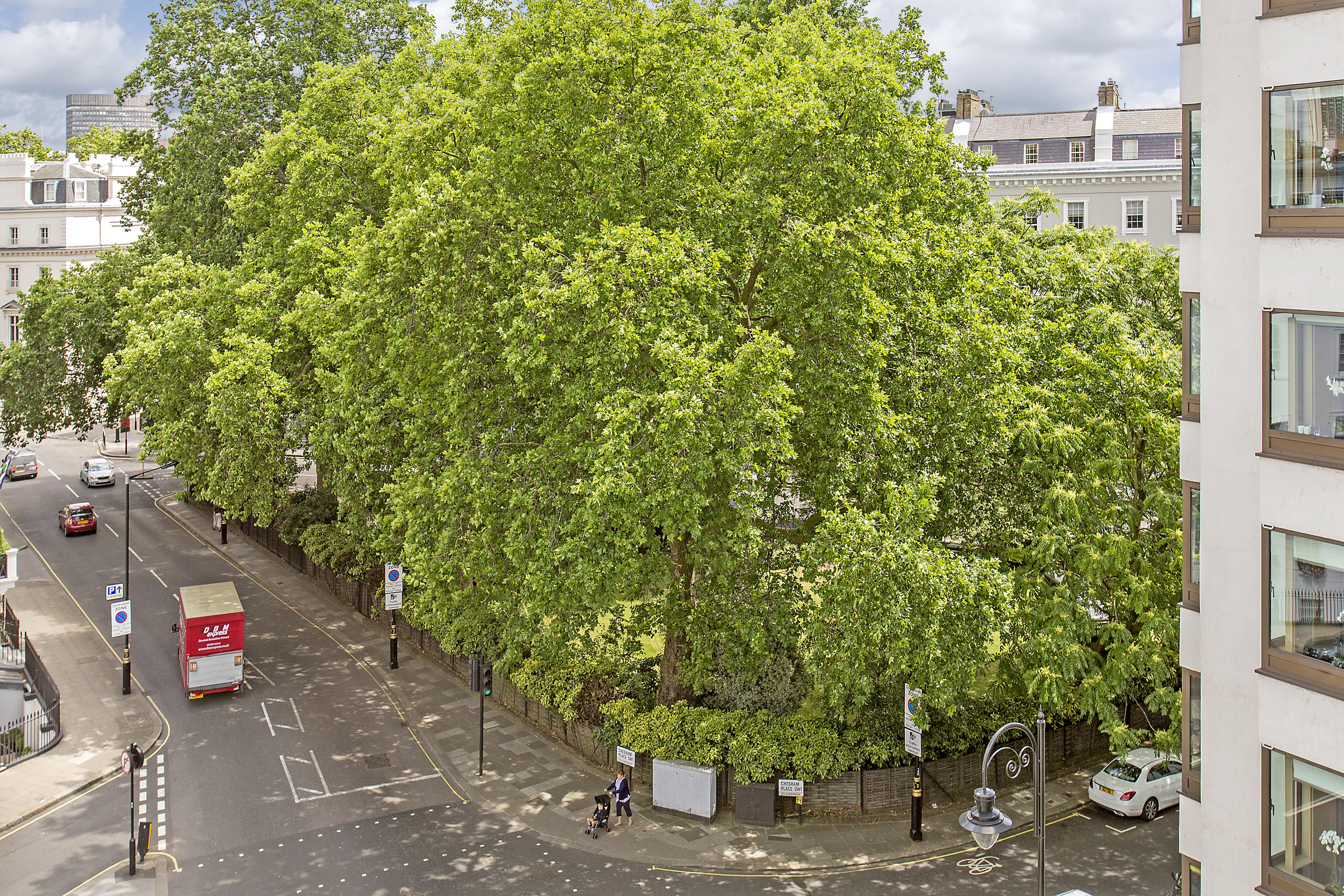 Chesham Court Knightsbridge Aparthotel London Eksteriør bilde